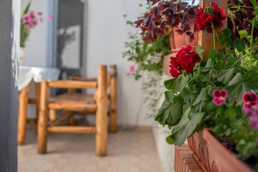 Guesthouse Juli Sapareva Banya Dış mekan fotoğraf