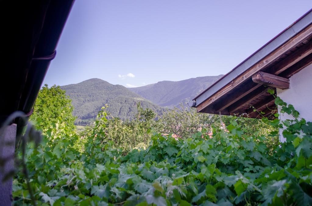 Guesthouse Juli Sapareva Banya Dış mekan fotoğraf