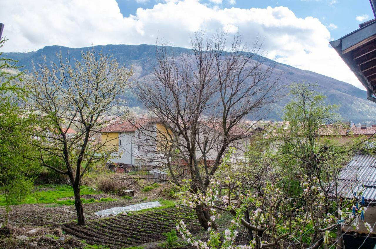 Guesthouse Juli Sapareva Banya Dış mekan fotoğraf