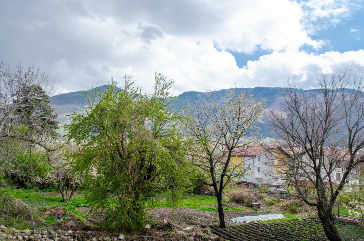 Guesthouse Juli Sapareva Banya Dış mekan fotoğraf