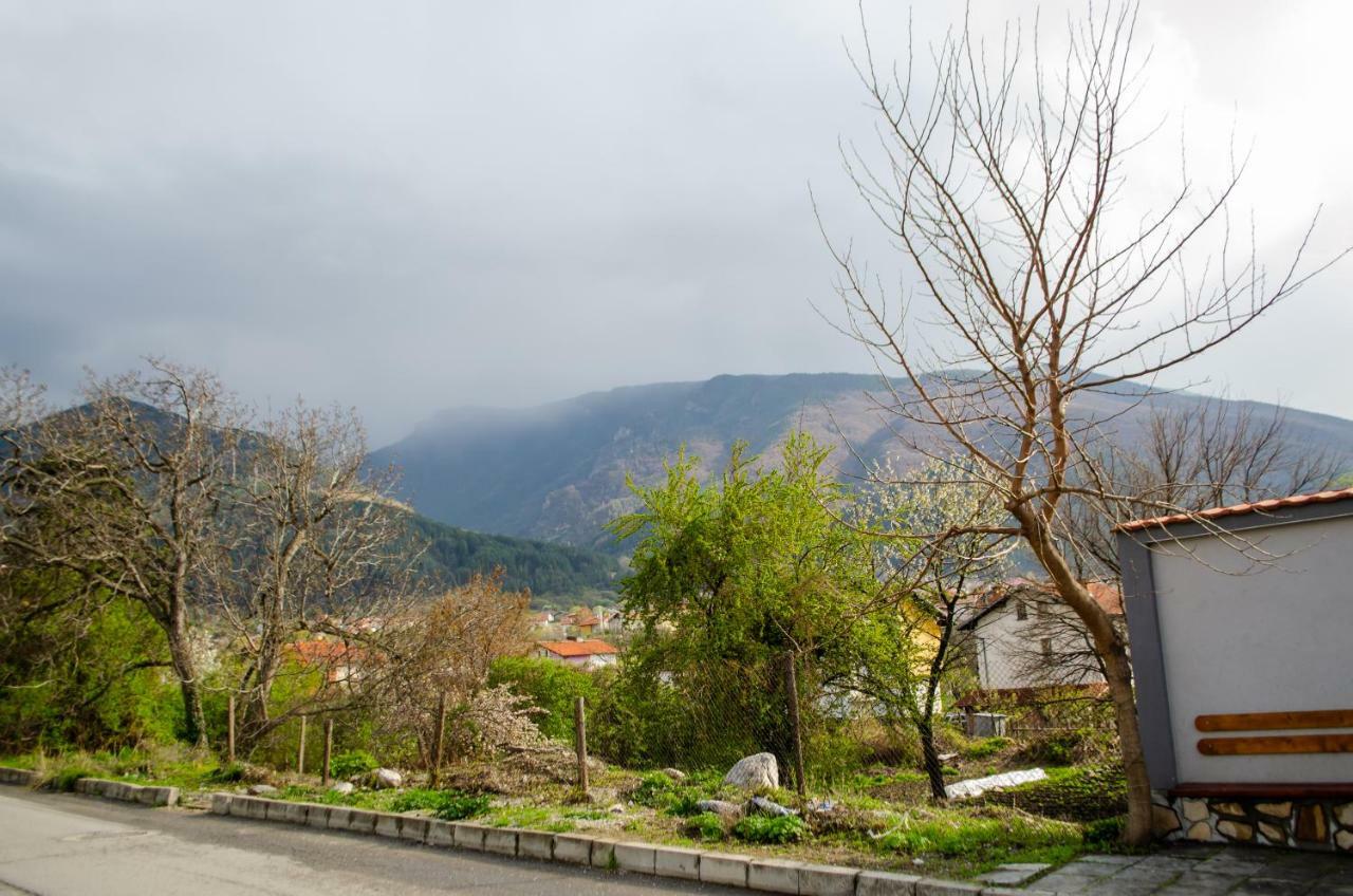 Guesthouse Juli Sapareva Banya Dış mekan fotoğraf